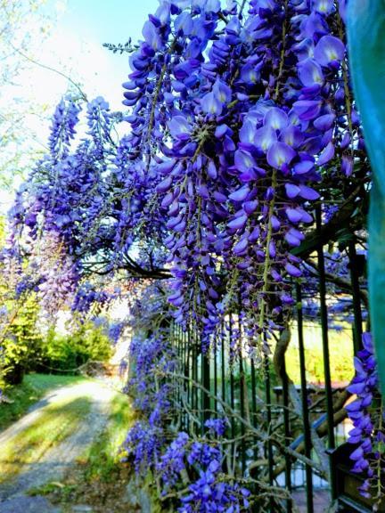 La Torretta Bed & Breakfast Torriglia Buitenkant foto